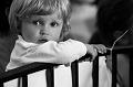 IMG_2292