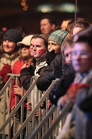 img_3561_std.jpg