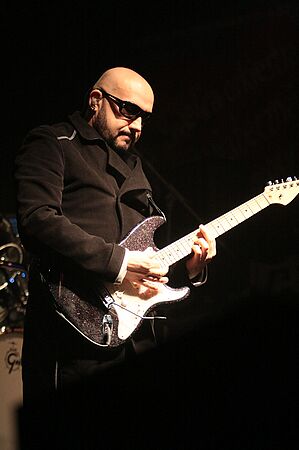 img_3631_std.jpg