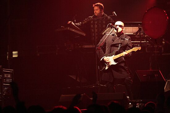 img_3688_std.jpg