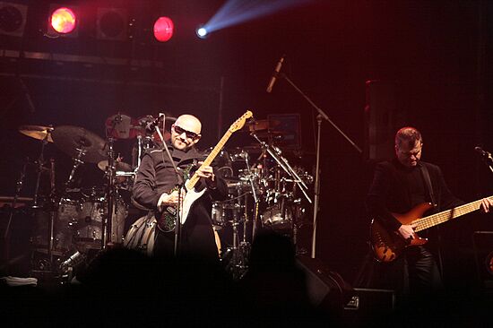img_3696_std.jpg