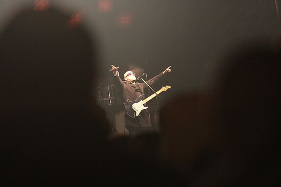 img_3703_std.jpg