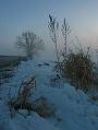 crw_7354_std
